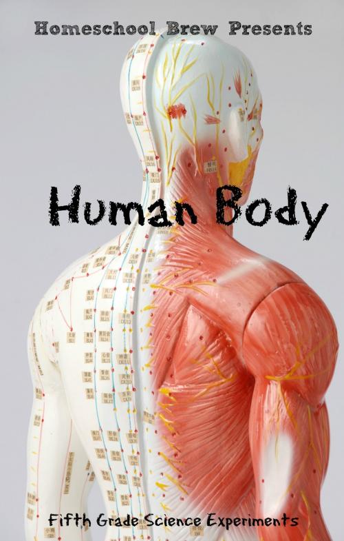 Cover of the book Human Body by Thomas Bell, HomeSchool Brew Press