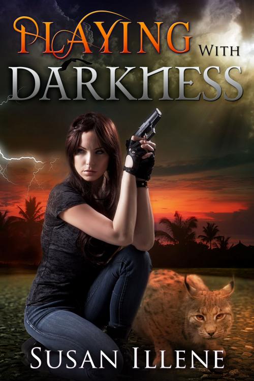Cover of the book Playing with Darkness: Book 3.5 by Susan Illene, Susan Illene