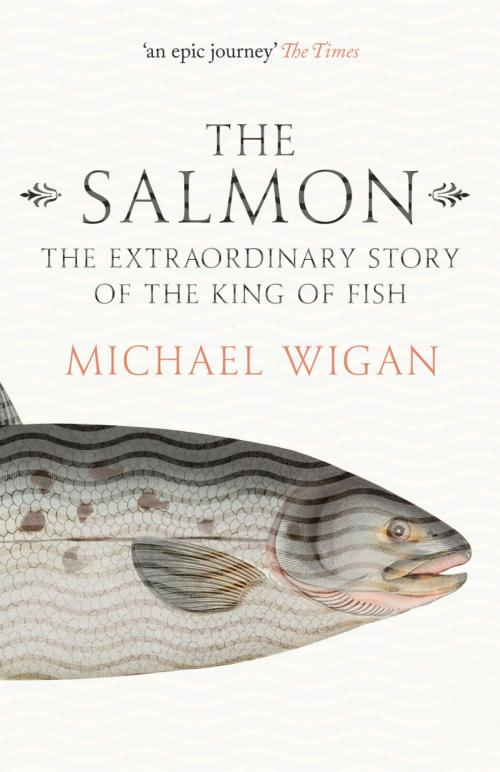 Cover of the book The Salmon: The Extraordinary Story of the King of Fish by Michael Wigan, HarperCollins Publishers