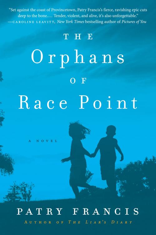 Cover of the book The Orphans of Race Point by Patry Francis, Harper Perennial