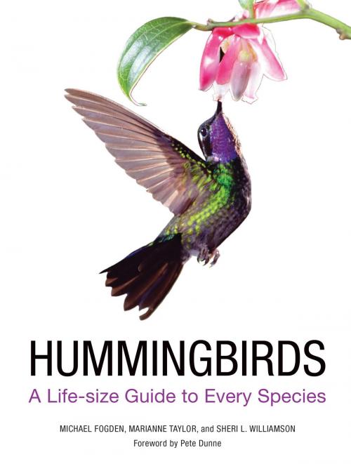 Cover of the book Hummingbirds by Michael Fogden, Marianne Taylor, Sheri L. Williamson, Harper Design