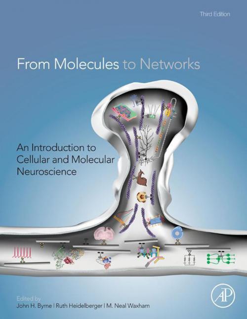 Cover of the book From Molecules to Networks by , Elsevier Science