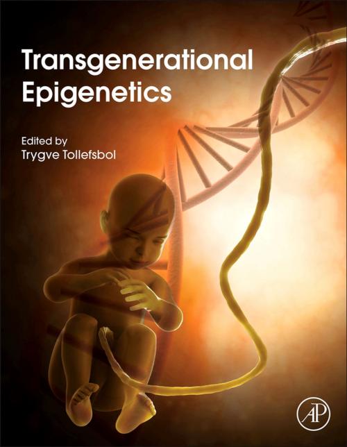 Cover of the book Transgenerational Epigenetics by , Elsevier Science