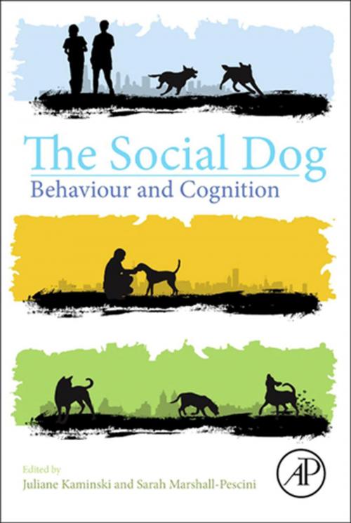 Cover of the book The Social Dog by Juliane Kaminski, Sarah Marshall-Pescini, Elsevier Science