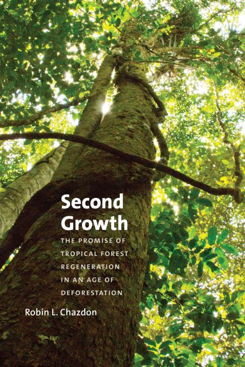 Cover of the book Second Growth by Robin L. Chazdon, University of Chicago Press