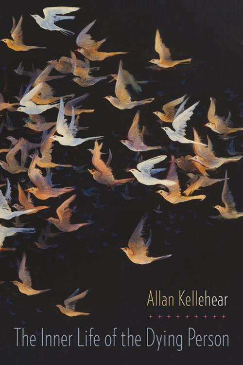 Cover of the book The Inner Life of the Dying Person by Allan Kellehear, Columbia University Press