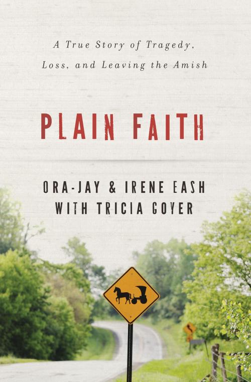 Cover of the book Plain Faith by Ora Jay and Irene Eash, Zondervan