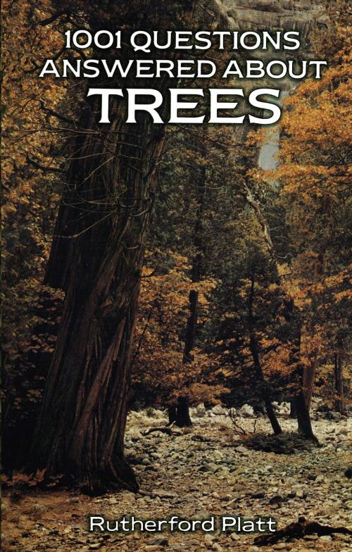 Cover of the book 1001 Questions Answered About Trees by Rutherford Platt, Dover Publications