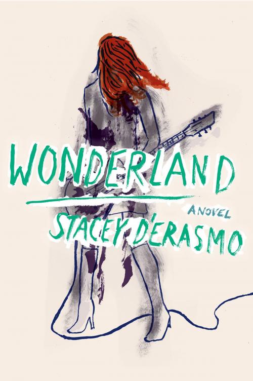 Cover of the book Wonderland by Stacey D'Erasmo, HMH Books