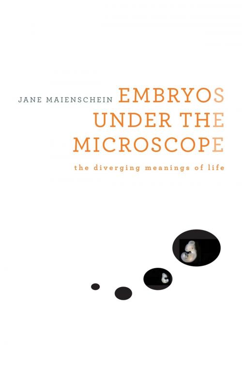 Cover of the book Embryos under the Microscope by Jane Maienschein, Harvard University Press