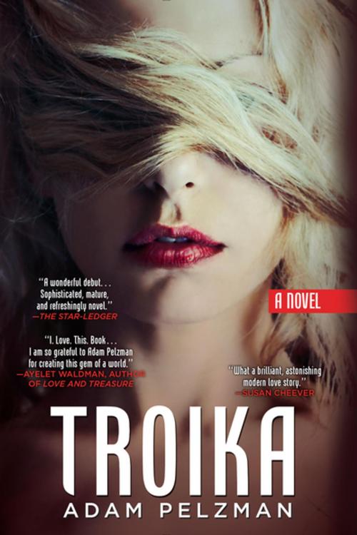 Cover of the book Troika by Adam Pelzman, Penguin Publishing Group