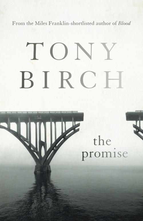 Cover of the book The Promise by Tony Birch, University of Queensland Press