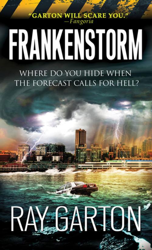 Cover of the book Frankenstorm by Ray Garton, Pinnacle Books