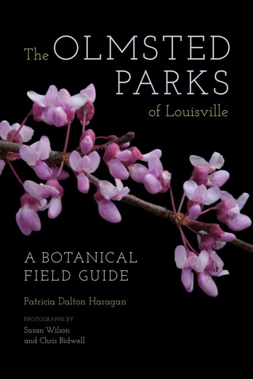 Cover of the book The Olmsted Parks of Louisville by Patricia Dalton Haragan, The University Press of Kentucky