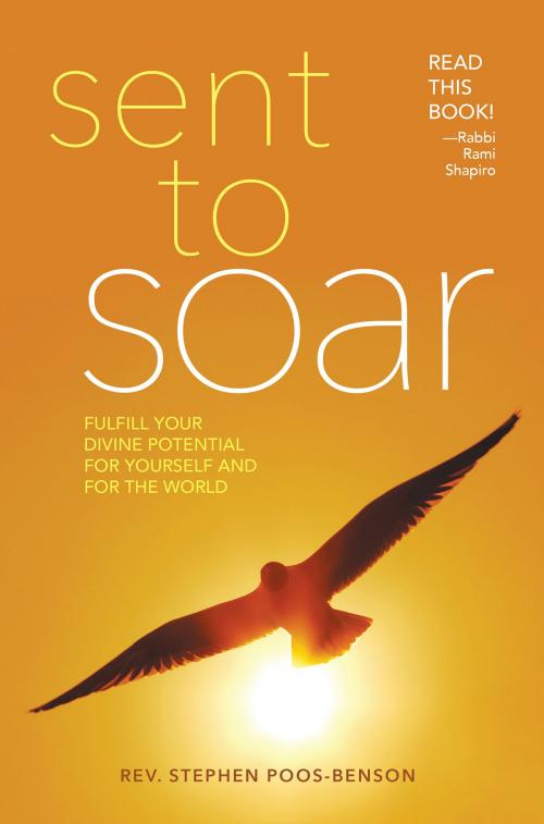 Cover of the book Sent to Soar by Rev. Dr. Stephen Poos-Benson, Quest Books
