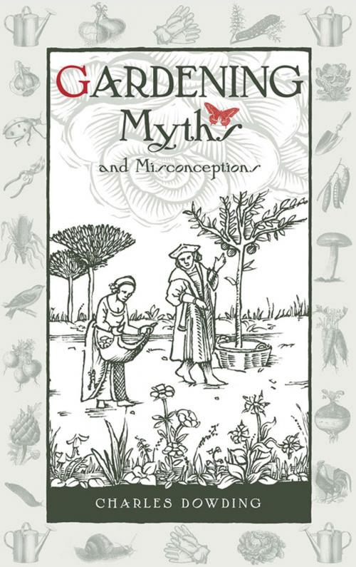Cover of the book Gardening Myths and Misconceptions by Charles Dowding, UIT Cambridge Ltd.