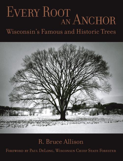 Cover of the book Every Root an Anchor by R. Bruce Allison, Wisconsin Historical Society Press