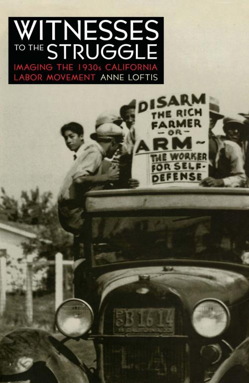 Cover of the book Witnesses to the Struggle by Anne Loftis, University of Nevada Press