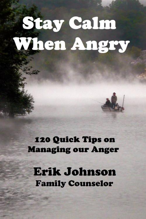 Cover of the book Stay Calm When Angry: 120 Quick Tips on Managing our Anger by Erik Johnson, Erik Johnson
