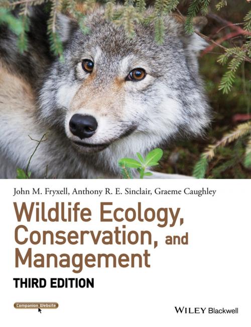 Cover of the book Wildlife Ecology, Conservation, and Management by John M. Fryxell, Anthony R. E. Sinclair, Graeme Caughley, Wiley