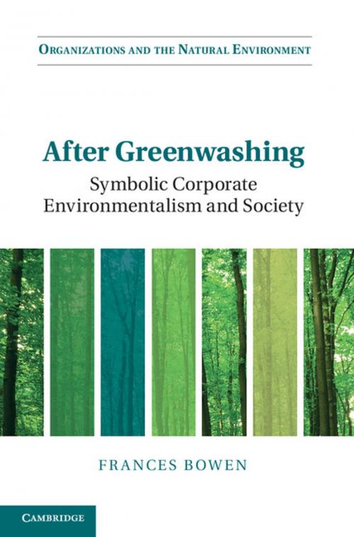 Cover of the book After Greenwashing by Frances Bowen, Cambridge University Press