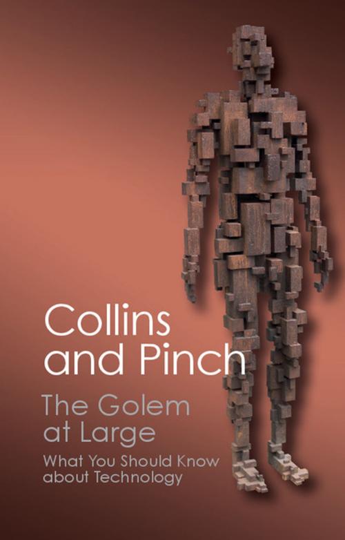 Cover of the book The Golem at Large by Harry Collins, Trevor Pinch, Cambridge University Press