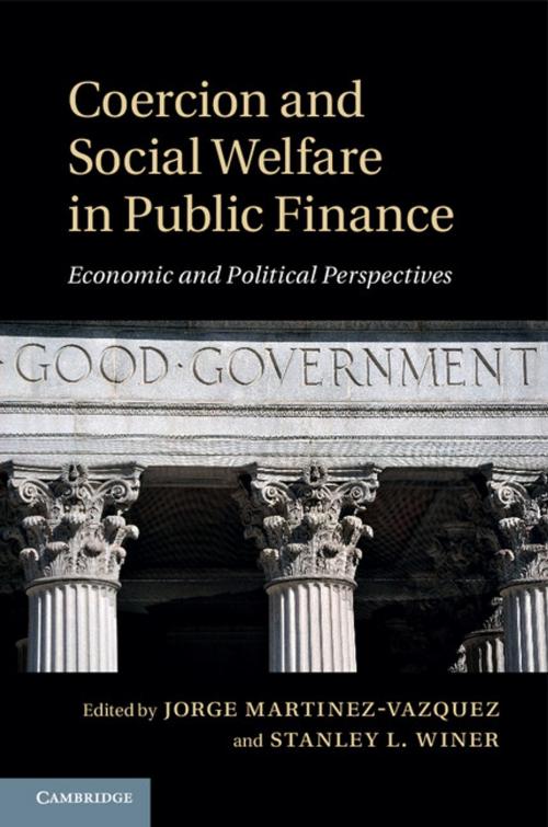 Cover of the book Coercion and Social Welfare in Public Finance by , Cambridge University Press