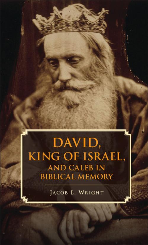 Cover of the book David, King of Israel, and Caleb in Biblical Memory by Jacob L. Wright, Cambridge University Press