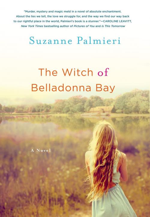 Cover of the book The Witch of Belladonna Bay by Suzanne Palmieri, St. Martin's Press