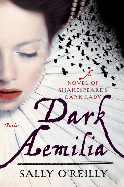 Cover of the book Dark Aemilia by Sally O'Reilly, Picador