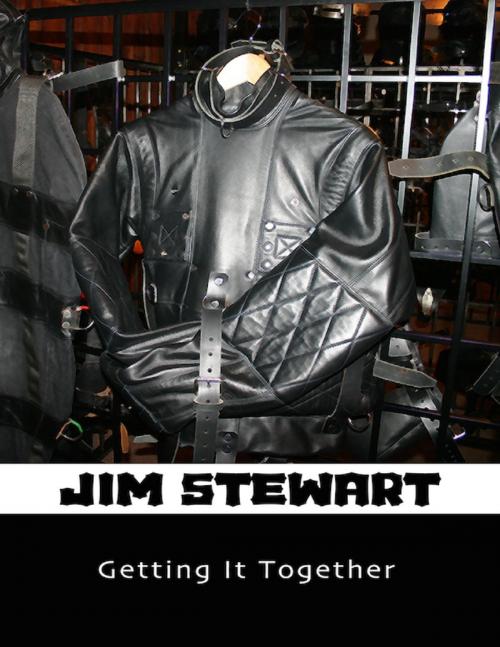 Cover of the book Getting It Together by Jim Stewart, Lulu.com