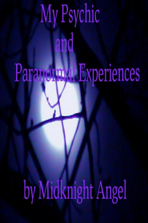 Cover of the book My Psychic and Paranormal Experiences by MidKnight Angel, MidKnight Angel