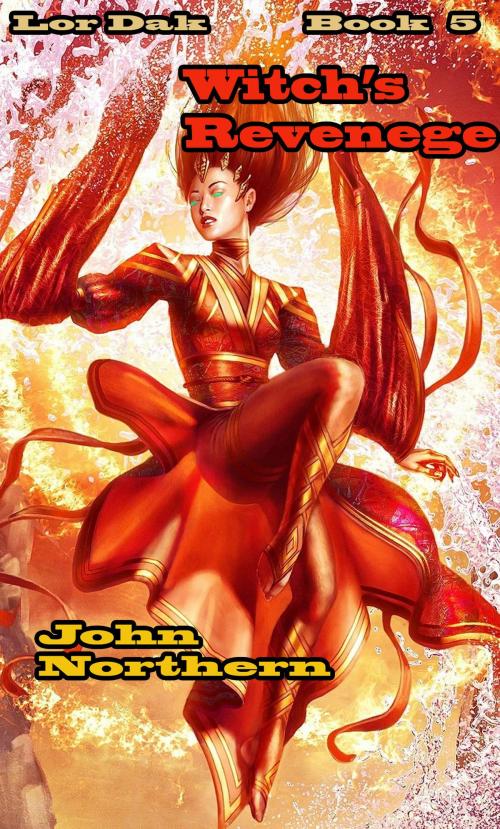 Cover of the book Lor Dak: Book 5 Witch's Revenge by John Northern, John Northern
