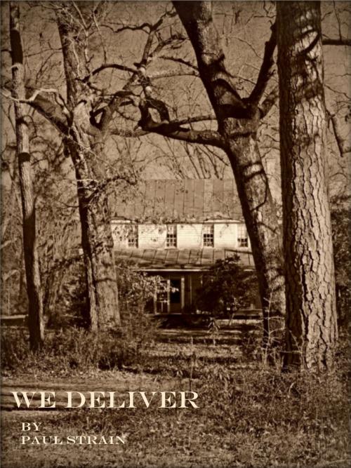 Cover of the book We Deliver by Paul Strain, Paul Strain