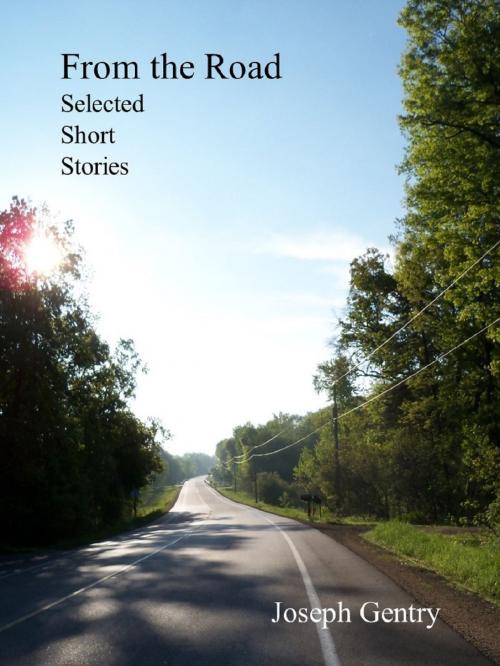 Cover of the book From the Road: Selected Short Stories by Joseph Gentry, Joseph Gentry