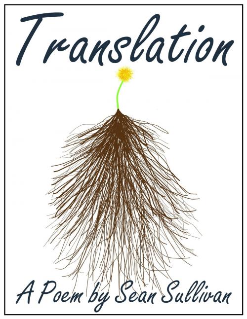 Cover of the book Translation by Sean Sullivan, Sean Sullivan