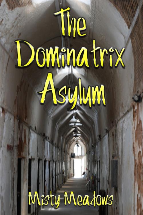 Cover of the book The Dominatrix Asylum (Female Domination, BDSM) by Misty Meadows, Misty Meadows