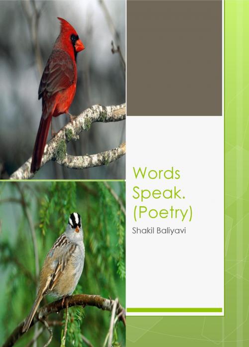 Cover of the book Words Speak by Shakil Baliyavi Sr, Shakil Baliyavi, Sr