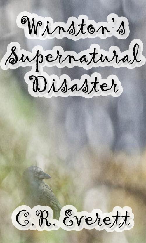 Cover of the book Winston's Supernatural Disaster by C. R. Everett, C. R. Everett