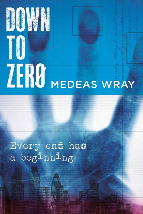 Cover of the book Down To Zero by Medeas Wray, Medeas Wray