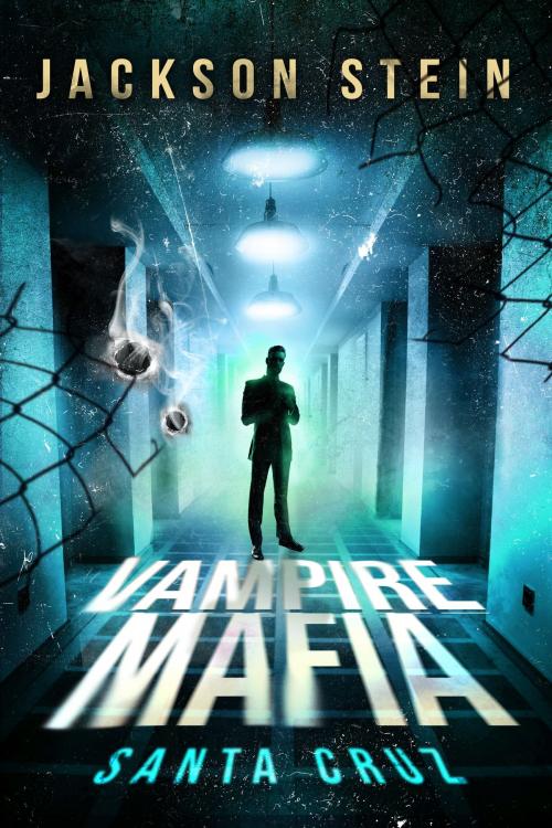 Cover of the book Vampire Mafia: Santa Cruz by Jackson Stein, Jackson Stein
