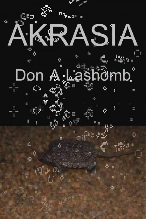 Cover of the book Akrasia by Don A Lashomb, Don A Lashomb