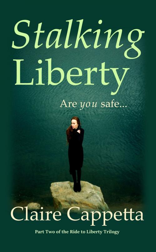 Cover of the book Stalking Liberty by Claire Cappetta, Claire Cappetta