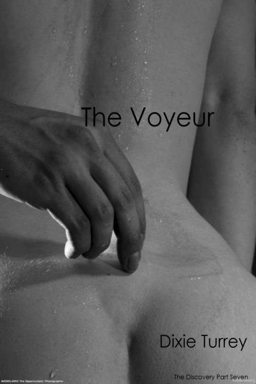 Cover of the book The Voyeur by Dixie Turrey, Dixie Turrey