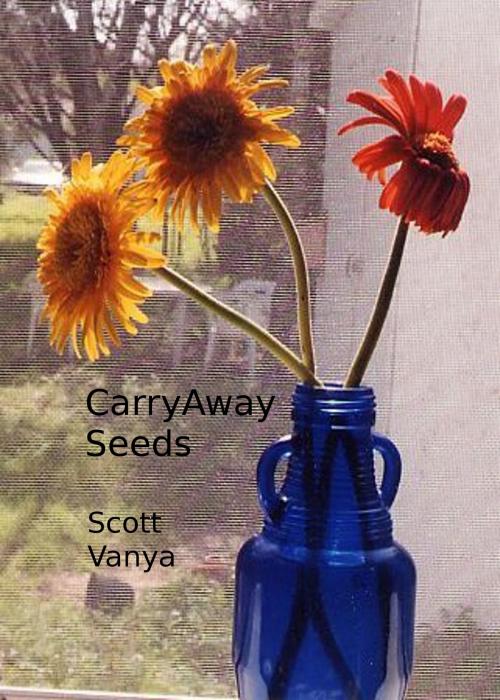 Cover of the book CarryAway Seeds by Scott Vanya, Scott Vanya
