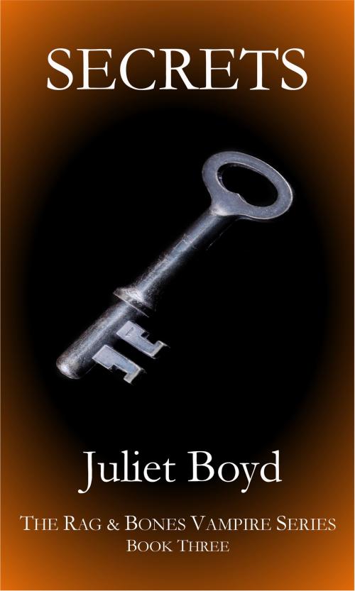 Cover of the book Rag & Bones: Secrets by Juliet Boyd, Juliet Boyd