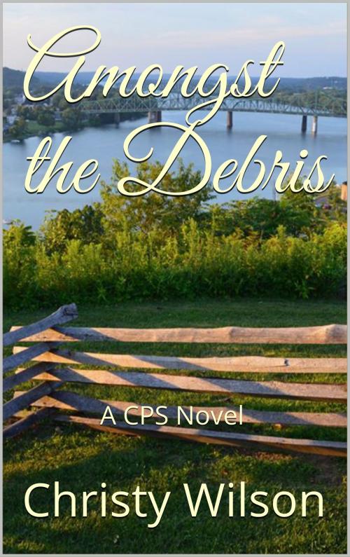 Cover of the book Amongst the Debris by Christy Wilson, Christy Wilson