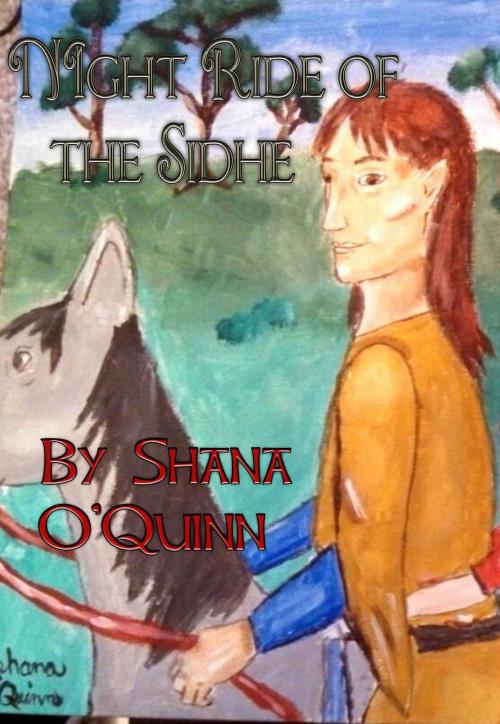 Cover of the book Night Ride of the Sidhe by Shana O'Quinn, Shana O'Quinn