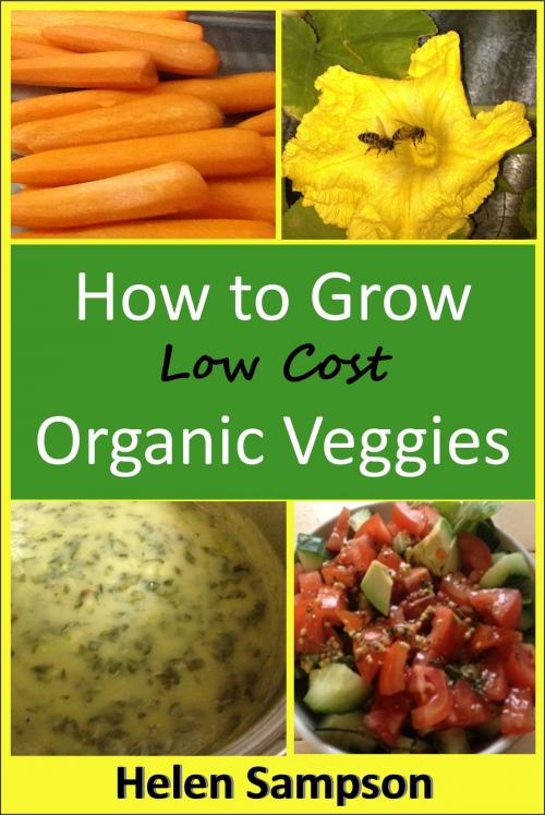 Cover of the book How to Grow Low Cost Organic Veggies by Helen Sampson, Helen Sampson