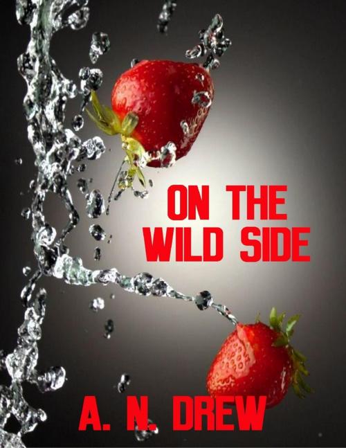 Cover of the book On the Wild Side by A. N. Drew, Lulu.com
